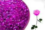 Aromatherapy Beads - 6 Pack