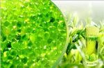 Aromatherapy Beads - 6 Pack