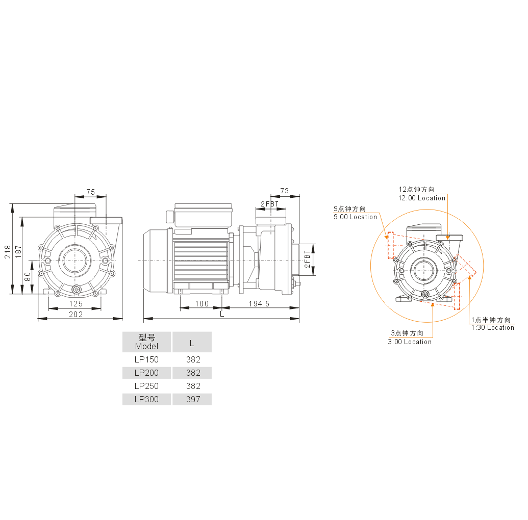 LP300-I 1-Speed Pump 3HP 2 x 2