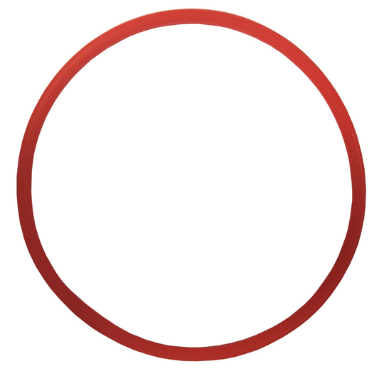 V2 PCU Filter Lid O-Ring