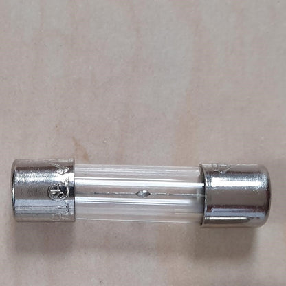 10a Glass fuse (small)